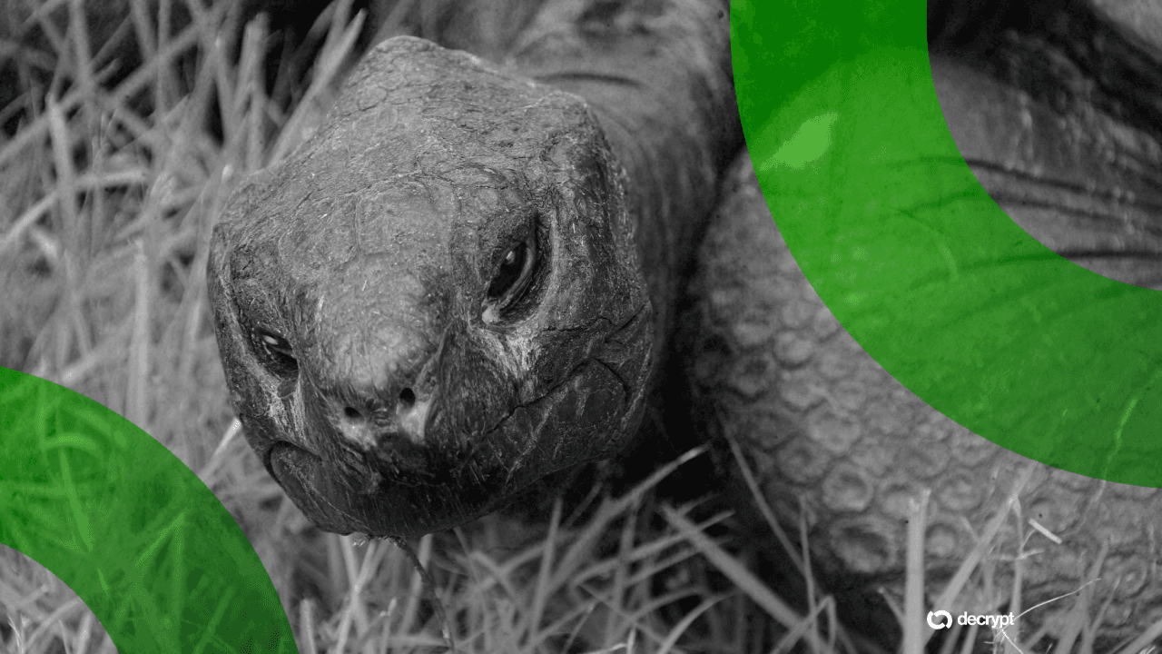 Solana Meme Coin Exploits 194-Year-Old Tortoise Death Hoax in Latest Crypto Stunt