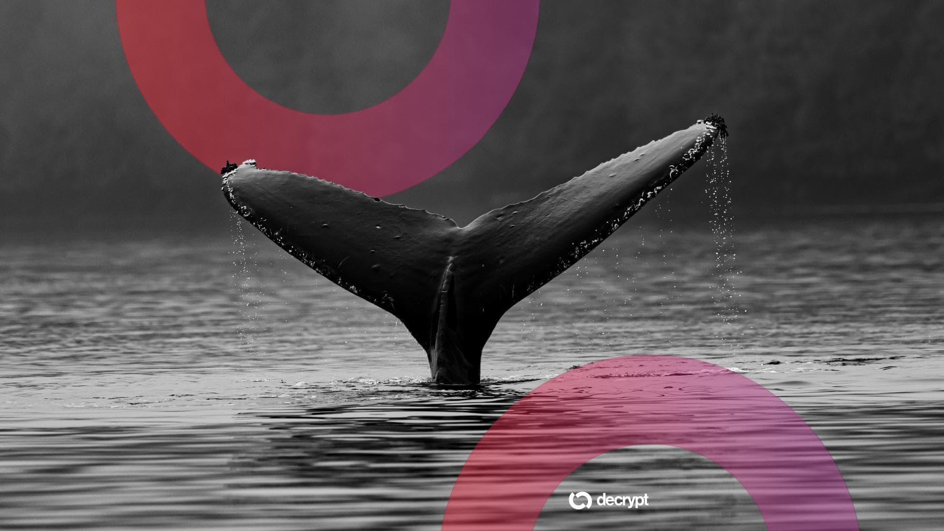 Ethereum's Biggest Sleeping Giant Stirs: $23M ICO Whale Breaks 10-Year Silence