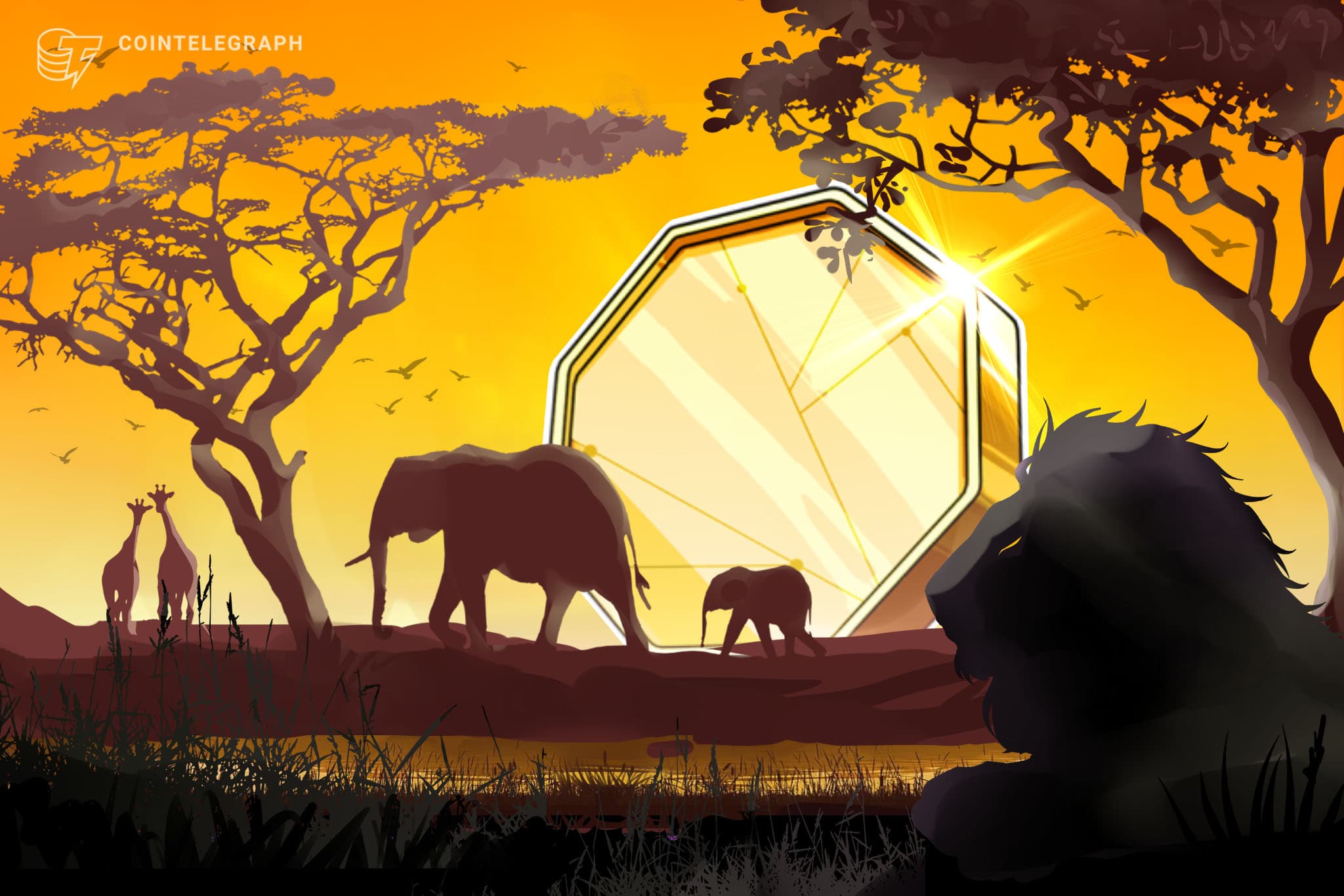Zimbabwe's Central Bank Opens Fintech Sandbox to Seven Crypto Projects—But Approval's Still No Guarantee