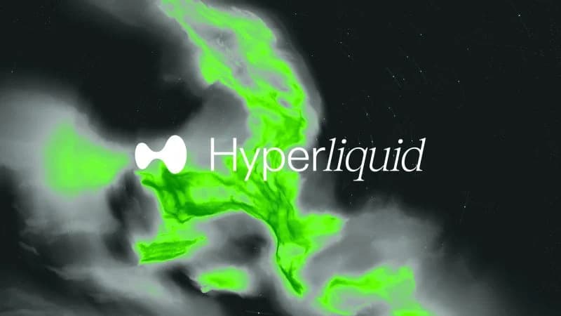Hyperion's Treasury Swells as HYPE Token Surge Delivers Explosive Quarterly Returns