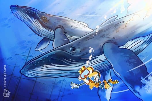 Whale Retreat Signals Potential Bitcoin Floor as $60K Zone Becomes Critical Battleground