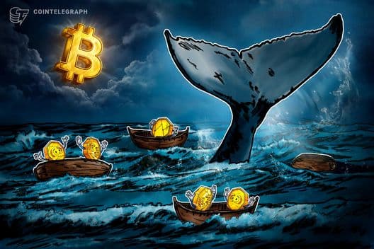 Bitcoin Whales Are Bleeding $337M Daily—Here's Why 2022 Might Repeat