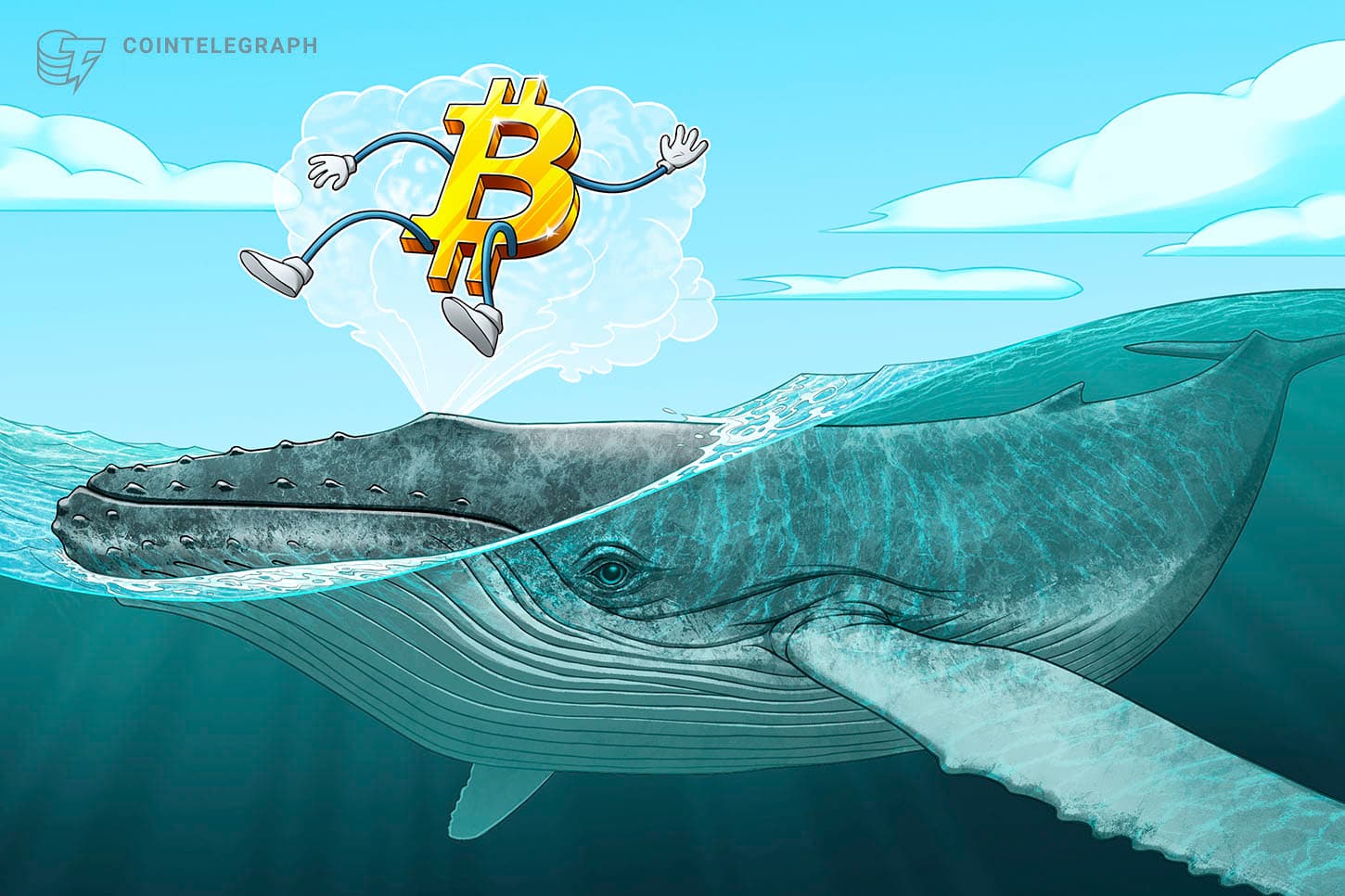 Whale Activity Signals Potential Bitcoin Bottom as Large Holders Aggressively Accumulate