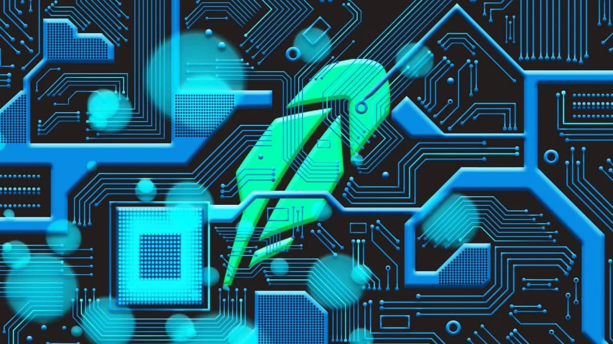 Robinhood Chain's August Surge Masks Broader Tokenized Asset Slowdown