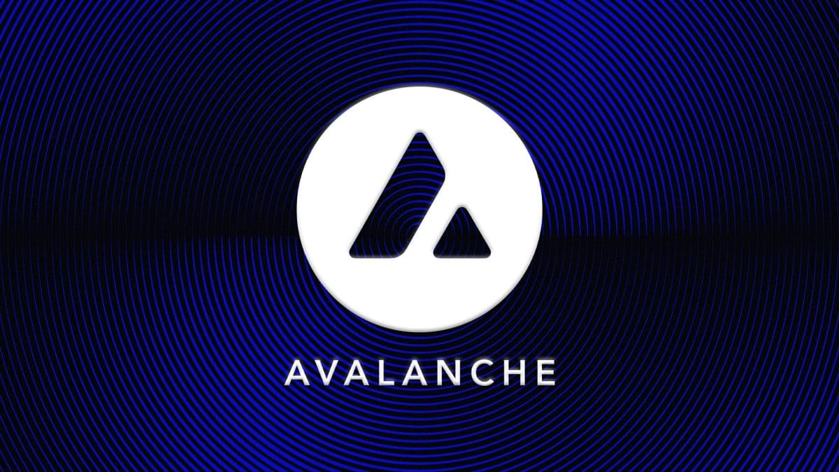 Crypto's Winter Is Becoming Spring: Ava Labs Executive Sees Unprecedented Opportunities Beyond Price Action