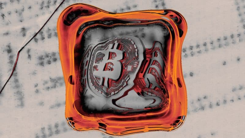 Cowen Slashes Nakamoto Valuation Nearly in Half Amid Bitcoin Market Headwinds