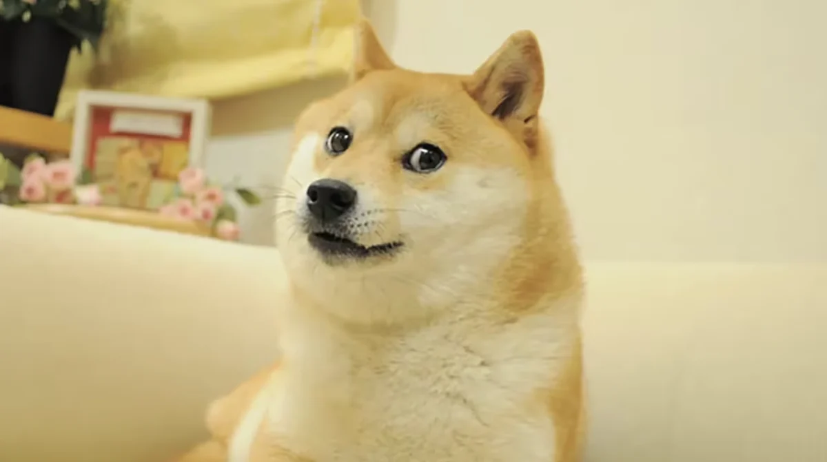 Bitwise's Dogecoin ETF Experiment Ends in Quiet Failure